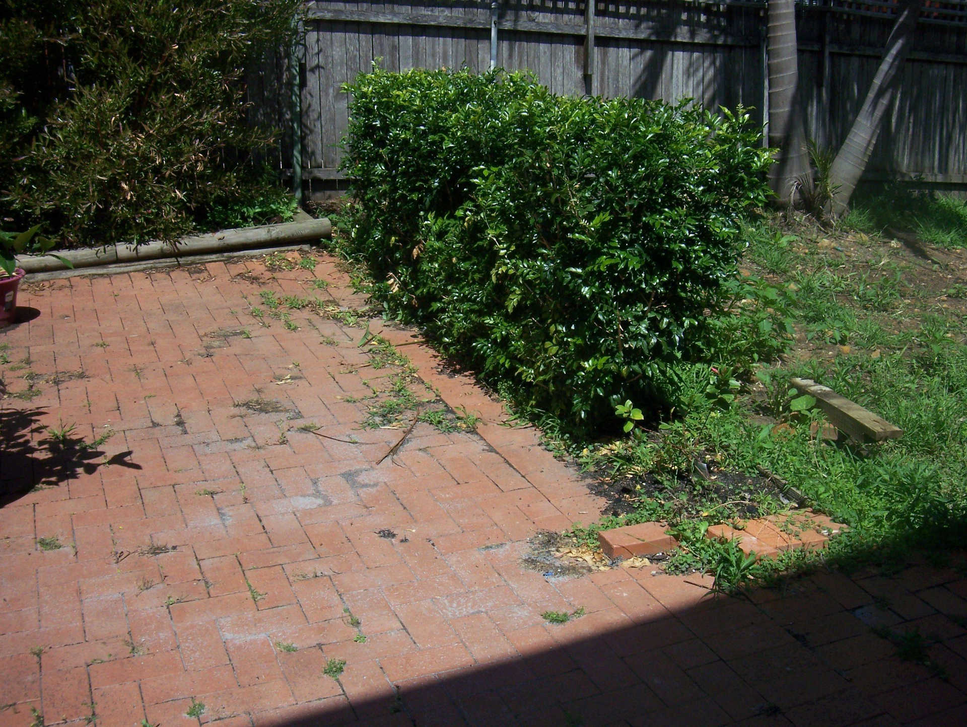 Backyard cleanup or Tidy up, weedy area before garden edging and new turf laying Wollongong New South Wales