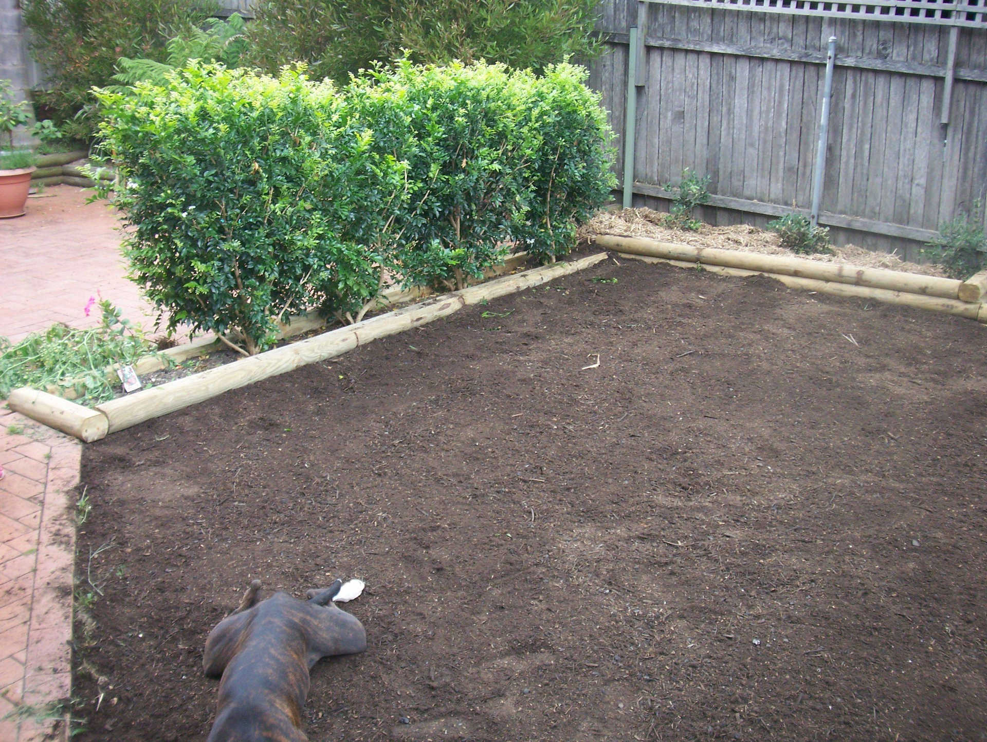 Turf underlay spread and leveled before laying new turf. Treated Pine Slab Garden edging. Turfing, Backyard tidy up, Garden Clean up. Wollongong New South Wales