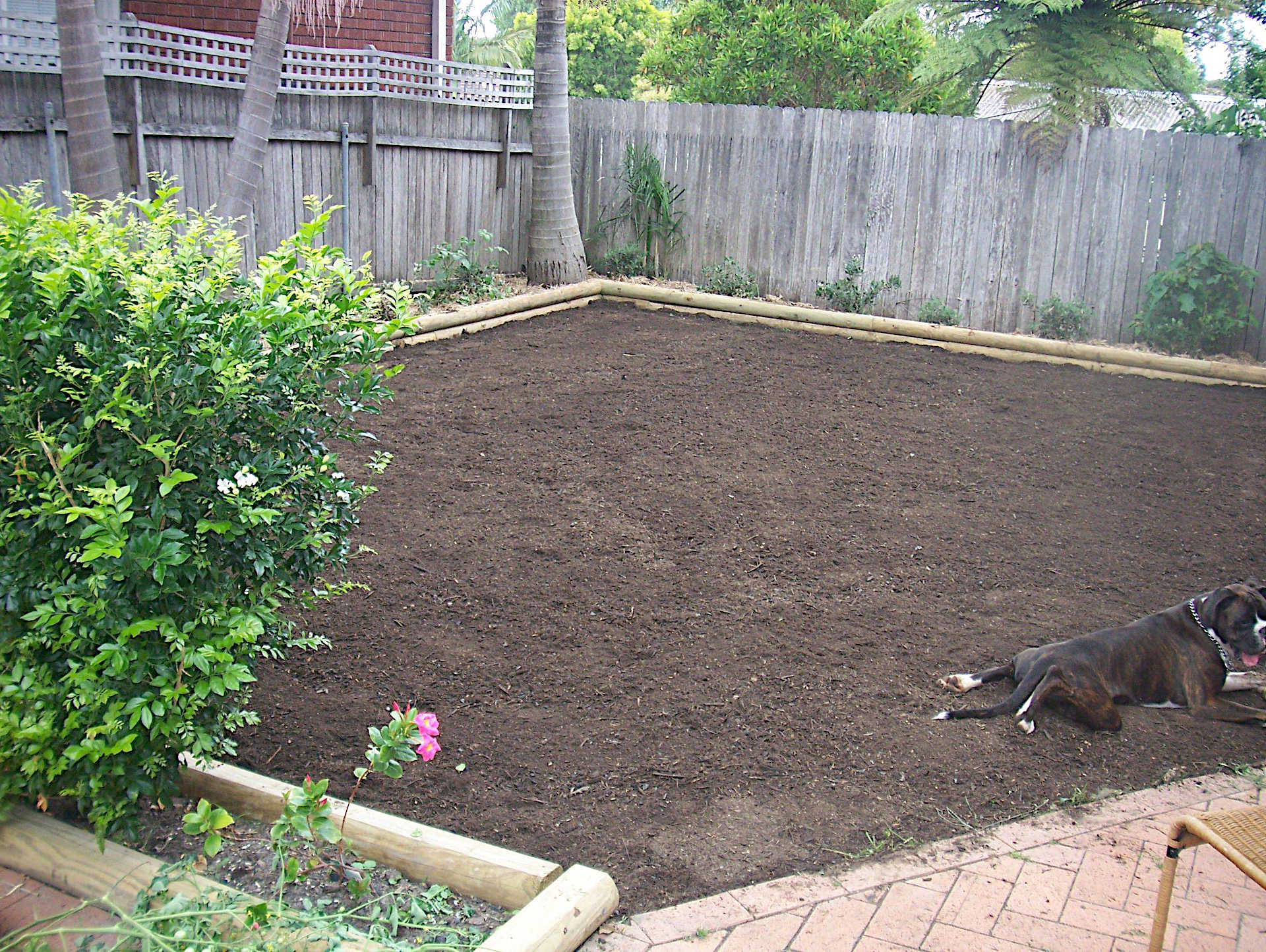 Turf underlay spread and leveled before laying new turf. Treated Pine Slab Garden edging. Turfing, Backyard tidy up, Garden Clean up. Wollongong New South Wales