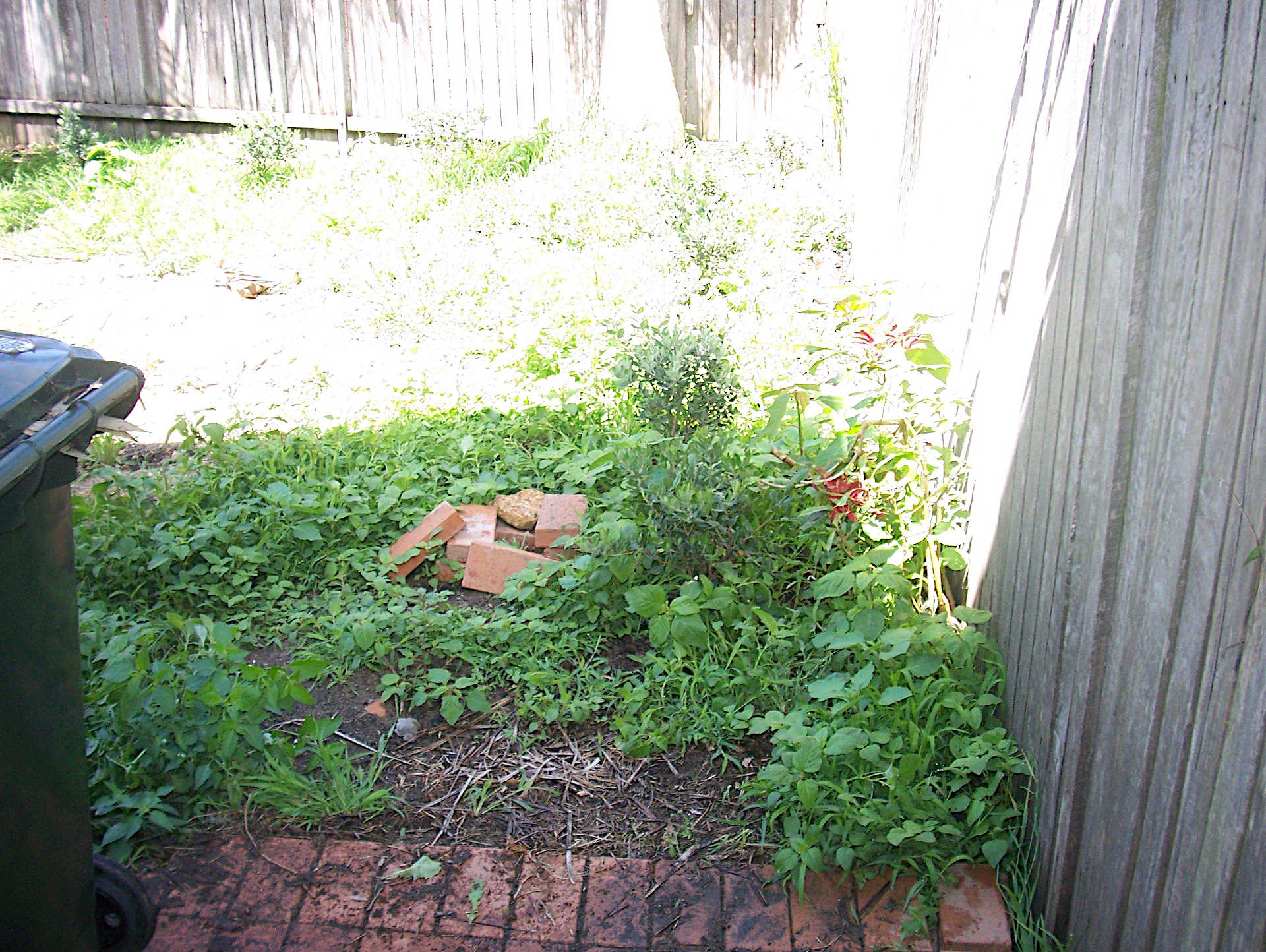 Backyard cleanup or Tidy up, weedy area before garden edging and new turf laying Wollongong New South Wales