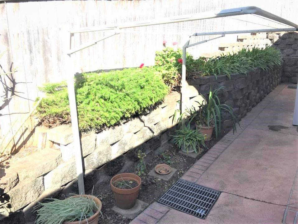 Garden Clean up Figtree Wollongong NSW