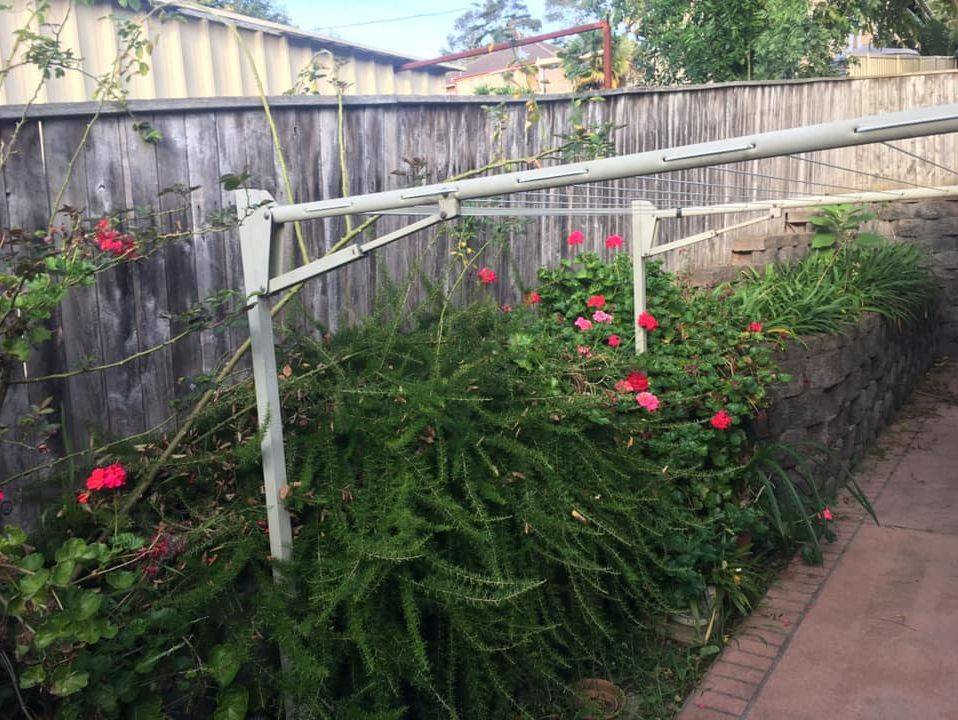 Garden Clean up in Figtree NSW Wollongong